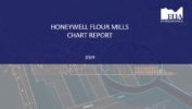 EUA Honeywell Flour Mills Plc Report 2019